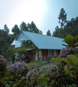 Fruit land resort