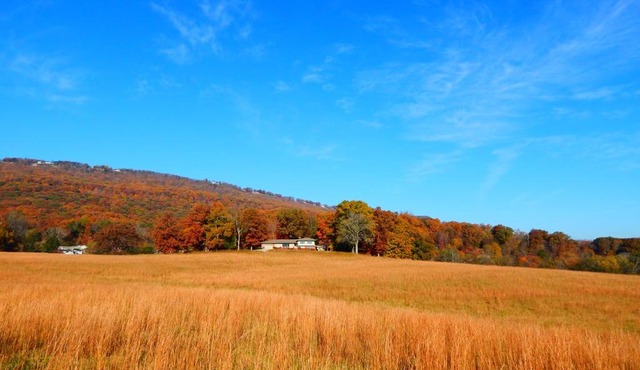 Fryars' Green at Tennessee RiverPlace