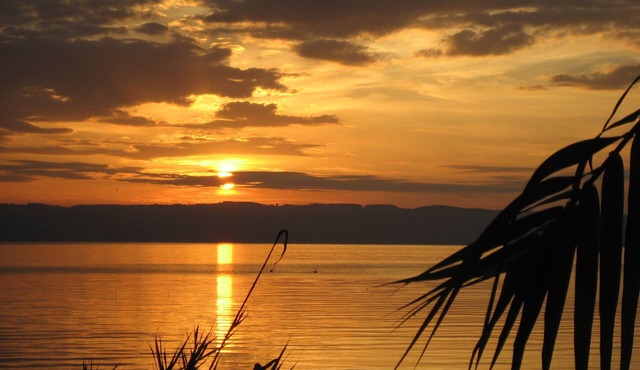 Fully equipped holiday cottage in front of the Lake, surrounded by olive trees