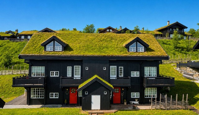 Fully equipped ski-in/ski-out apartment at Kikut, Geilo