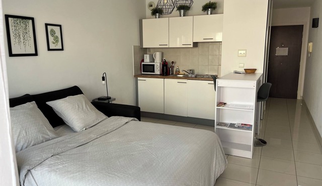 Fully equipped studio in the center of Cannes with swimming pool, large terrace and air conditioning