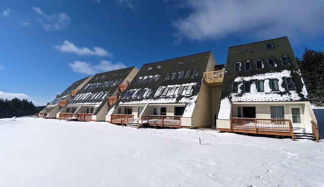 Fun 3-Bed, 2-Bath Ski Condo at Snowshoe Mountain-Near Slopes & No Cleaning Fee!