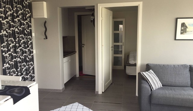 Functional apartment with sea view