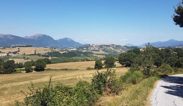 Functional Mini Luxury Lodges Near Camerino