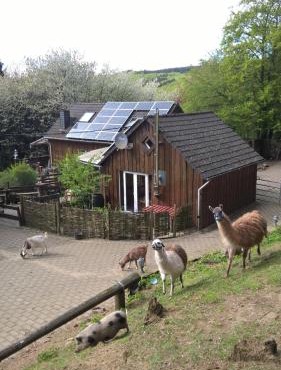 Funny-Farm