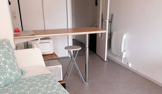 Furnished studio with balcony, downtown
