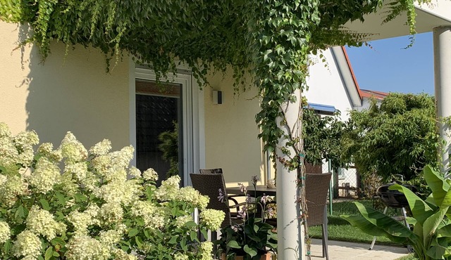 FW "insider tip" with 2 terraces, barrier-free, well equipped