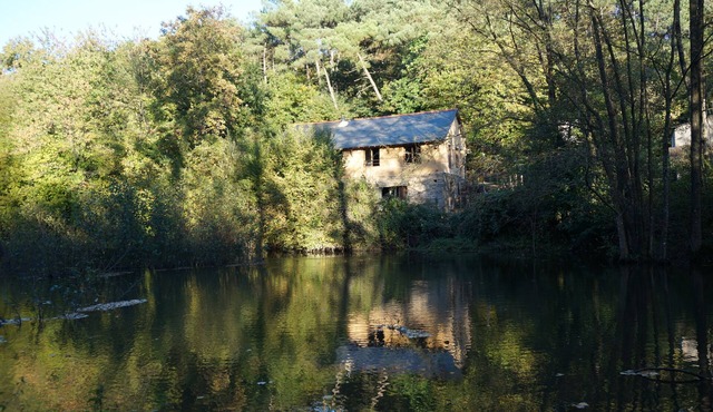 Gîte complet pour 12 personnes