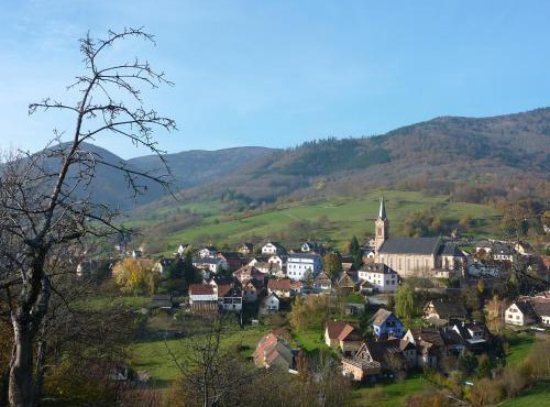Gîte Schlitteur Et Sapiniere