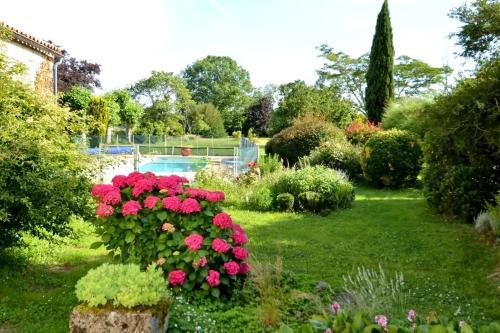 Gîtes Cinéma Piscine proche de Saint Emilion