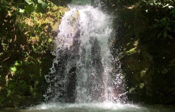 G.nature preserve