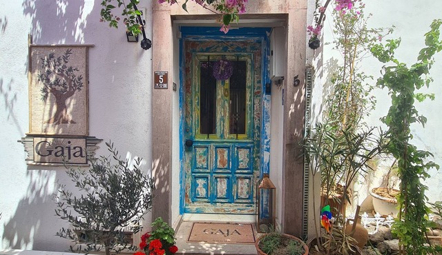 Gaja Ayvalik