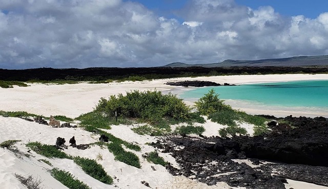 Galapagos Eco Friendly