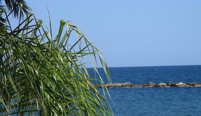 Galatex Beach Studio