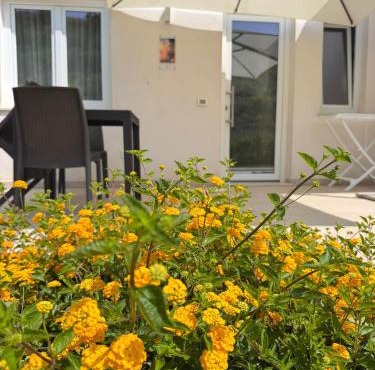 Galaxy Rooms Tropea