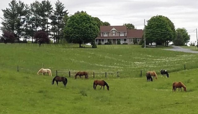 Galloping Getaway on the rolling hills of GemStone Stable