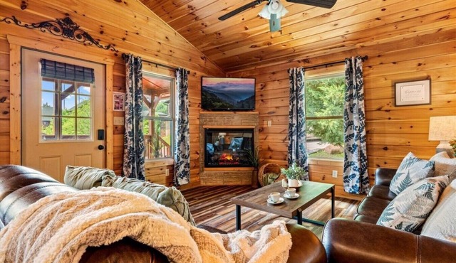 Game Room~ HotTub~ Dollywood 3 Miles~Outdoor Pool