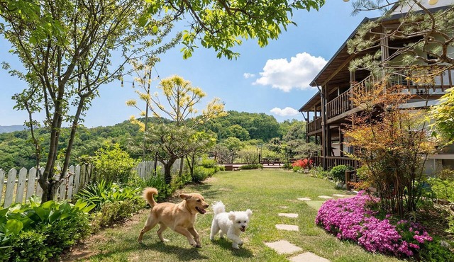Gapyeong Art Pension