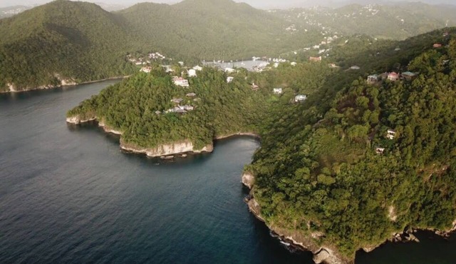 Garden Studio - Treehouse Marigot Bay