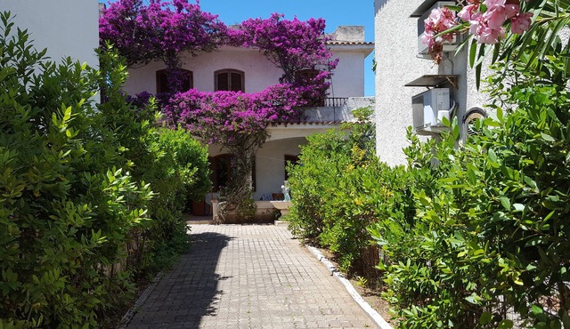 Gargano. Villa 7 people 100 meters from the sea