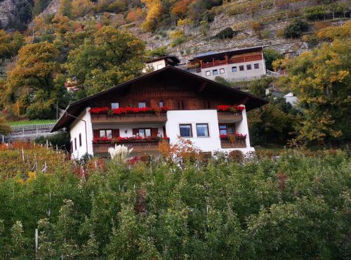 Garni Schuster