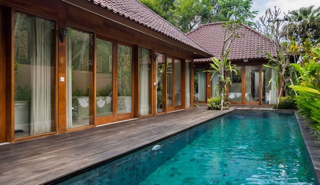 Gekkos Ubud
