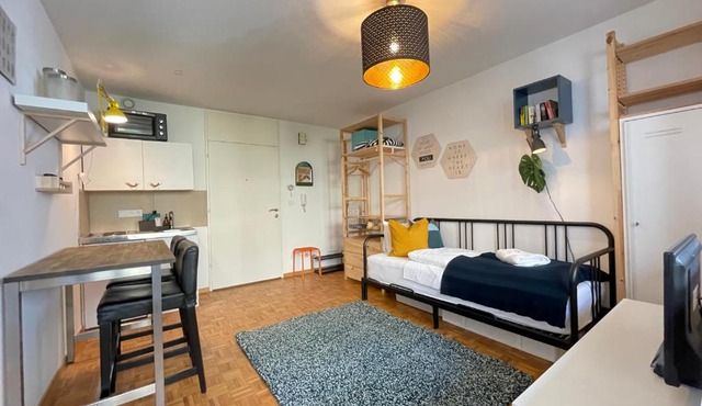 Gemütliches Studio mitten in der Stadt Bregenz