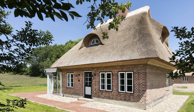 Gem under thatch with stove and sauna