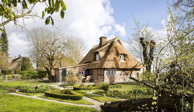 Gem under thatch with historic wood-burning stove and dreamlike garden