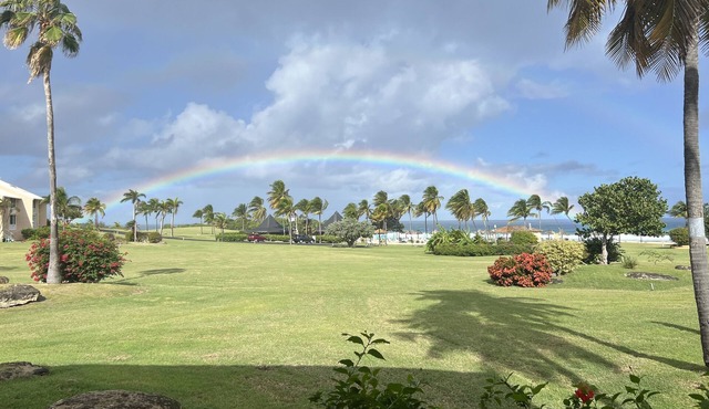 Gentle Winds - Updated Oceanside Escape USVI 2Bed 2Bath + Garden Room & Office