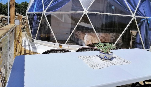 Geodesic dome, 4 pax, safe & trendy