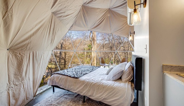 Geodesic Dome 2