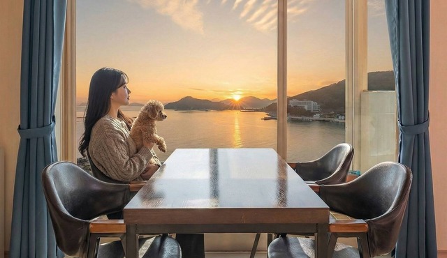 Geoje Sunbeachoceanview Dog Pension