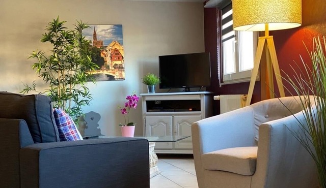 Geranium gite of 90 m2, located in the heart of the wine-growing city of Eguisheim, in a quiet area