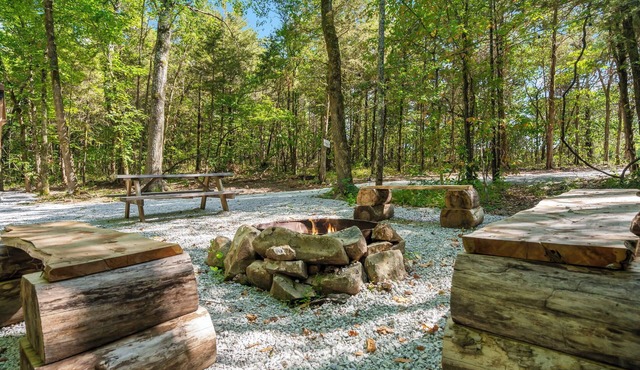 Get Your Glamp On! 2 Modern, Secluded Cabins Minutes to All Attractions