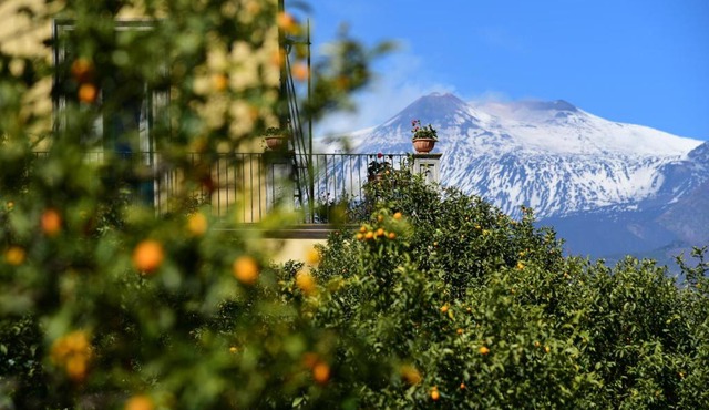 Giardino Arancio