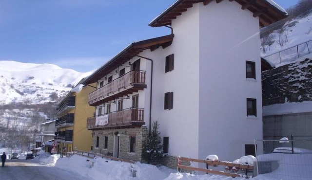 Ginepro d'Abruzzo