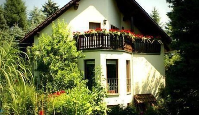 Ginkgo holiday flat in Dresden