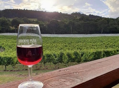 Gisborne Peak Winery - Charming Retreat Vineyard Stay Macedon Ranges