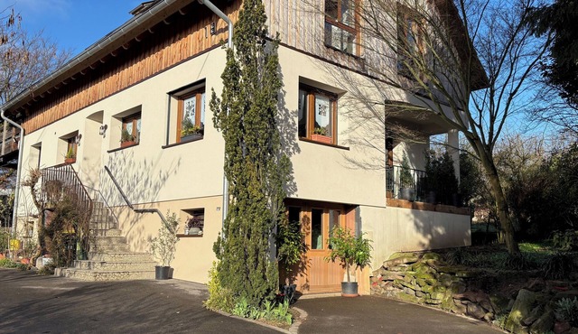 Gite du ried, quiet accommodation surrounded by greenery.