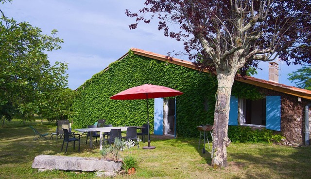 Gîte du Vigneron – Bucolic Getaway in the Heart of the Vineyards