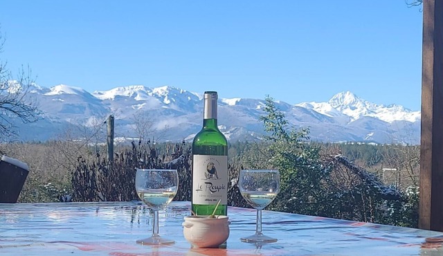 Gite in the woods with breathtaking views of the Pyrenees.