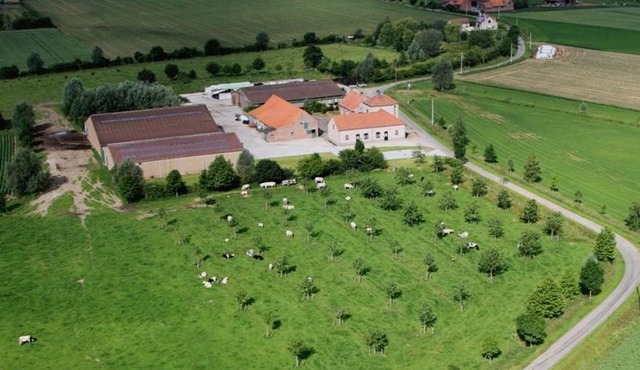 Gite Prairie Fleurie