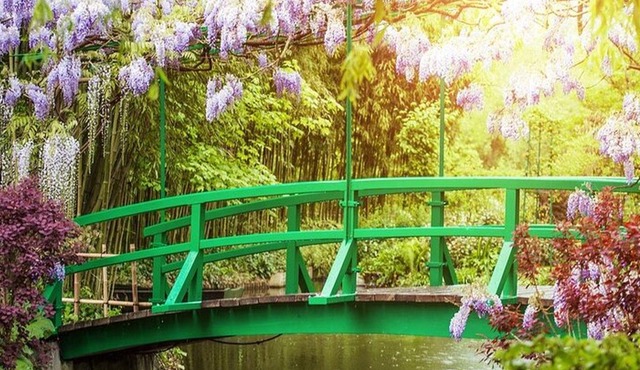 Giverny Small-Group Day Tour from Paris