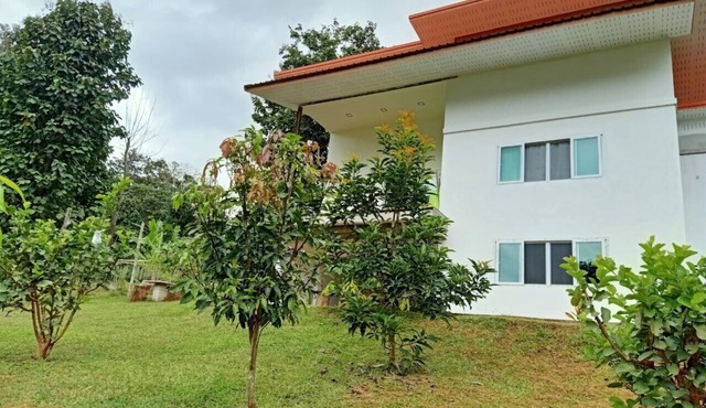 GJ TOURnCozy homestay in beautiful Pangmapha, Tham Lot with AC.