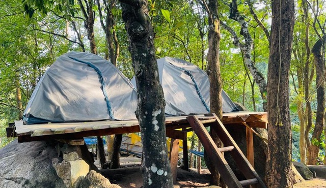 gladstone natural Camping