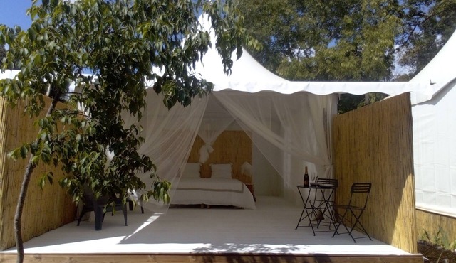 Glamping at Seraphin - Seminyak Pets accepted