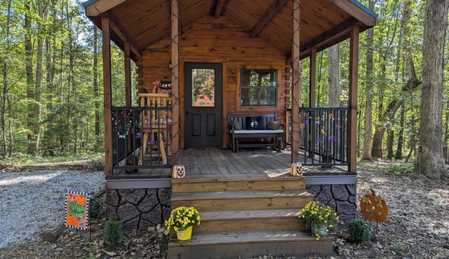 Glamping at Tiny House! Perfect Romantic Cabin Getaway on Horse Farm