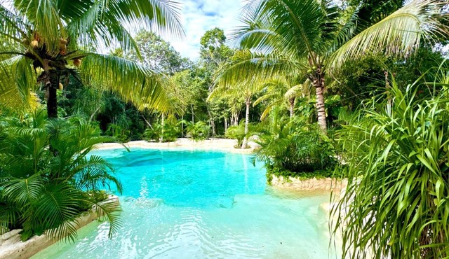 Glamping Bunga Lotus