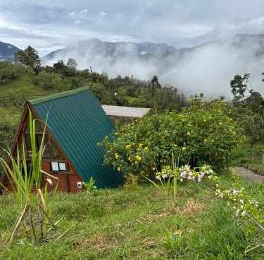 Glamping Dharma